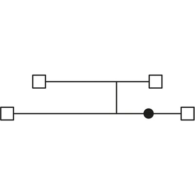 Złącze push-in, EFDS.2/1S/GR - schemat