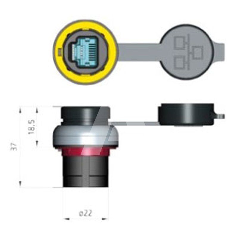 Gniazdo na panel RJ45, PP2RJ45BL - schemat