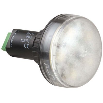 Sygnalizator optyczny LED seria 239, 24 V DC, 5 kolorów, IP65, 23948055
