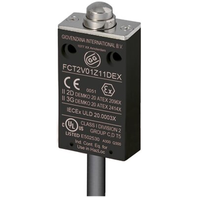 Wyłącznik krańcowy EX 3G/2D, FCT2V01Z11DEX