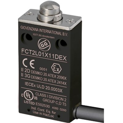 Wyłącznik krańcowy EX 3G/2D, FCT2L01Z11DEX