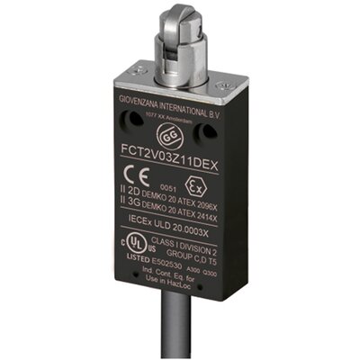 Wyłącznik krańcowy EX 3G/2D, FCT2V03Z11DEX