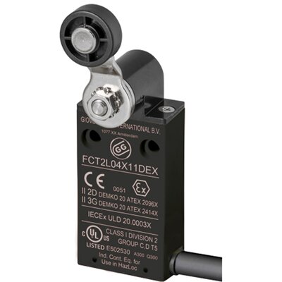 Wyłącznik krańcowy EX 3G/2D, FCT2L04Z11DEX