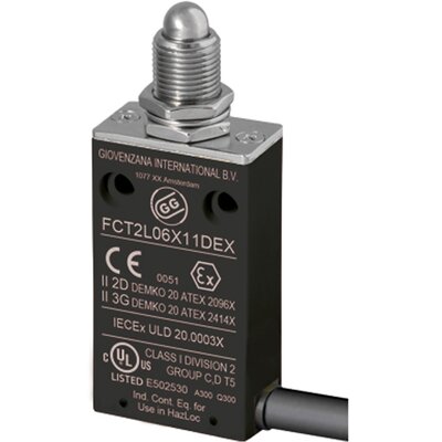 Wyłącznik krańcowy EX 3G/2D, FCT2L06Z11DEX