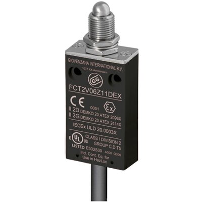Wyłącznik krańcowy EX 3G/2D, FCT2V06Z11DEX