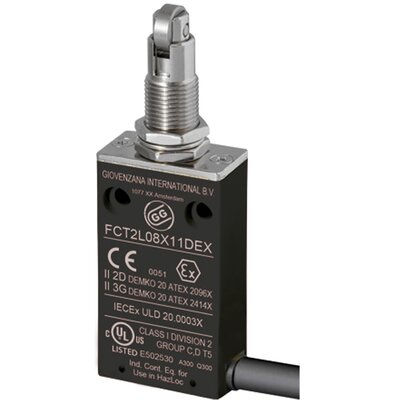 Wyłącznik krańcowy EX 3G/2D, FCT2L08Z11DEX