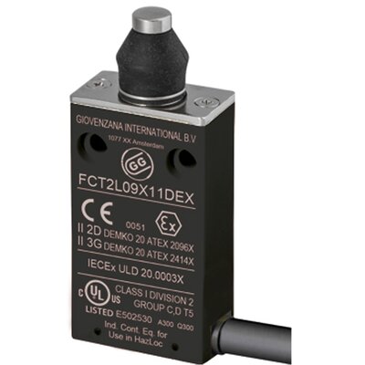 Wyłącznik krańcowy EX 3G/2D, FCT2L09Z11DEX