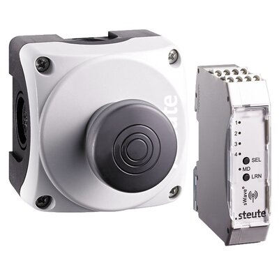 Zestaw kaseta RF BF 74 RS SW SW868-BATT odbiornik RF Rx SW868-4S 24VDC
